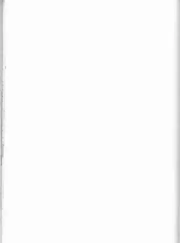 [Ibuki You] Kamikaze 2 Fhentai - Page 36