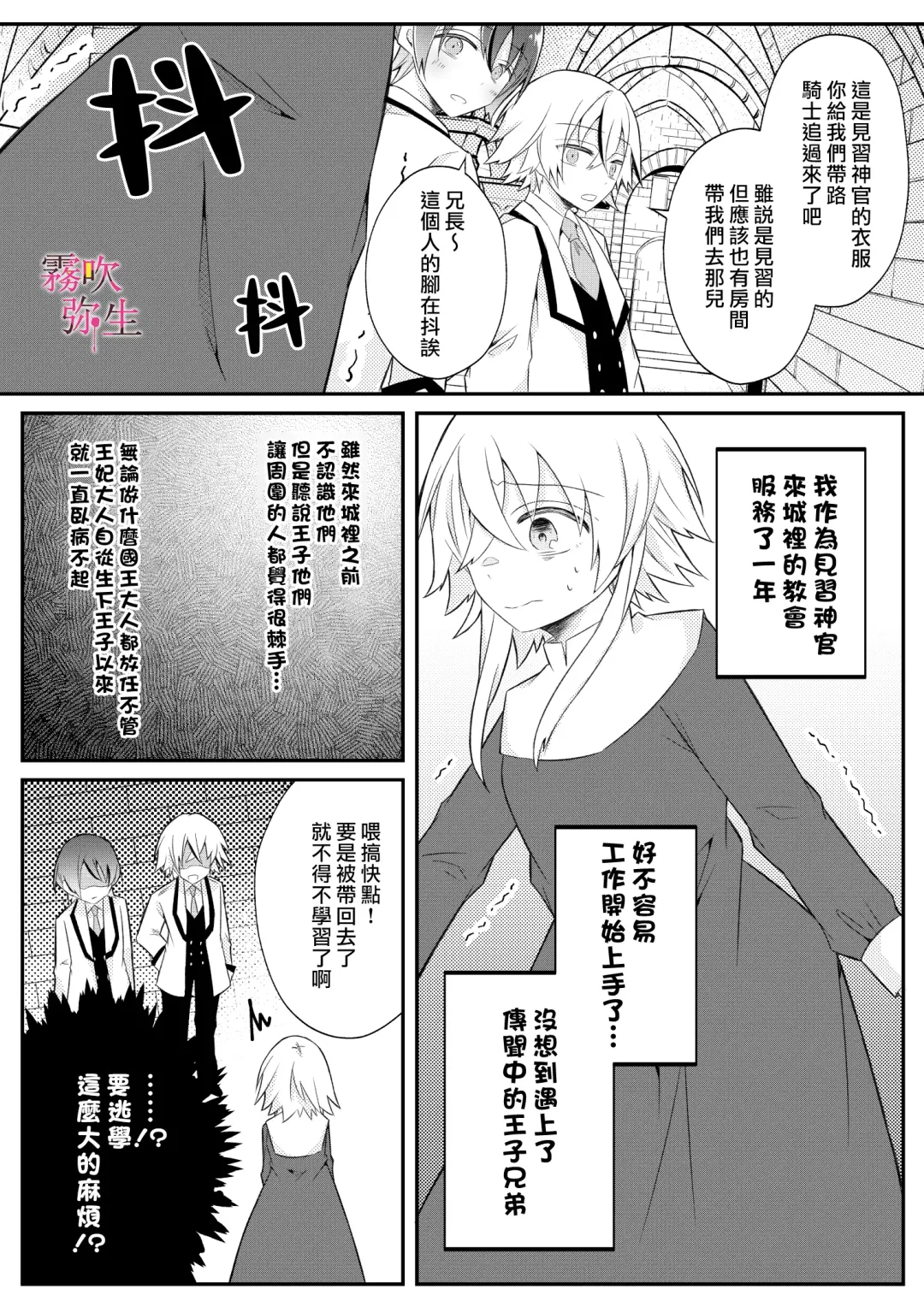 [Hatori Hato] Dekiai Kei Yandere Kyoudai Ouji wa Itoshi no Shinkan Mazoku Ochi Sasetai | 溺愛係病嬌王子兄弟想讓心愛的神官墮落成魔族 Fhentai - Page 9