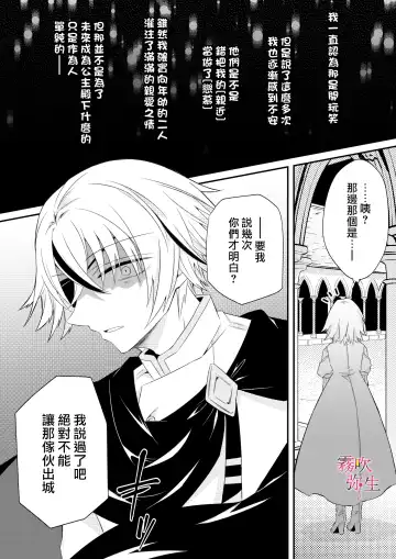 [Hatori Hato] Dekiai Kei Yandere Kyoudai Ouji wa Itoshi no Shinkan Mazoku Ochi Sasetai | 溺愛係病嬌王子兄弟想讓心愛的神官墮落成魔族 Fhentai - Page 22
