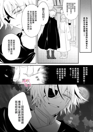 [Hatori Hato] Dekiai Kei Yandere Kyoudai Ouji wa Itoshi no Shinkan Mazoku Ochi Sasetai | 溺愛係病嬌王子兄弟想讓心愛的神官墮落成魔族 Fhentai - Page 23
