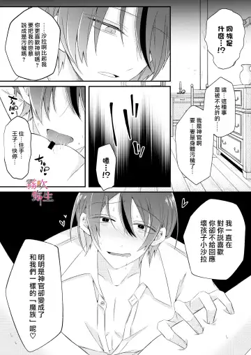 [Hatori Hato] Dekiai Kei Yandere Kyoudai Ouji wa Itoshi no Shinkan Mazoku Ochi Sasetai | 溺愛係病嬌王子兄弟想讓心愛的神官墮落成魔族 Fhentai - Page 38