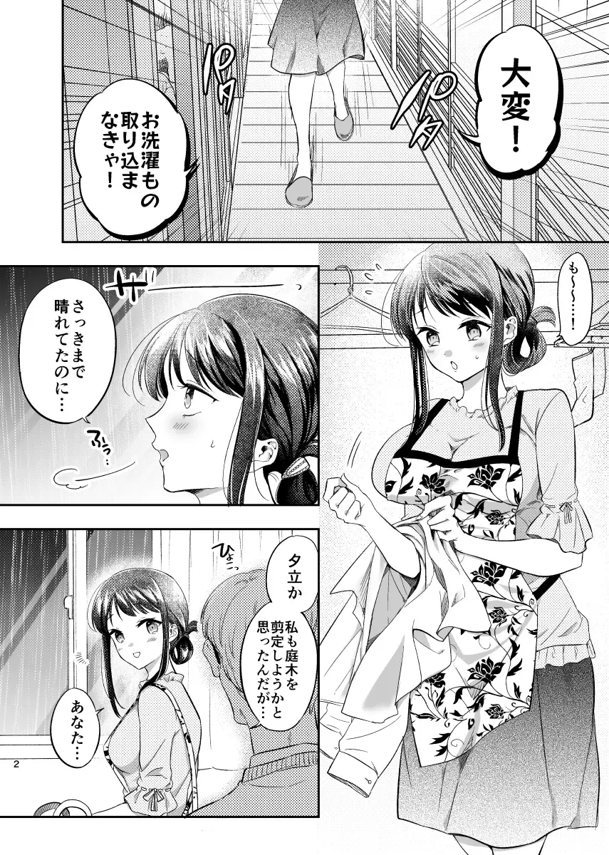 Intoh Reform ~Hakuchuu no Netorare Bijin Tsuma~ Fhentai - Page 3