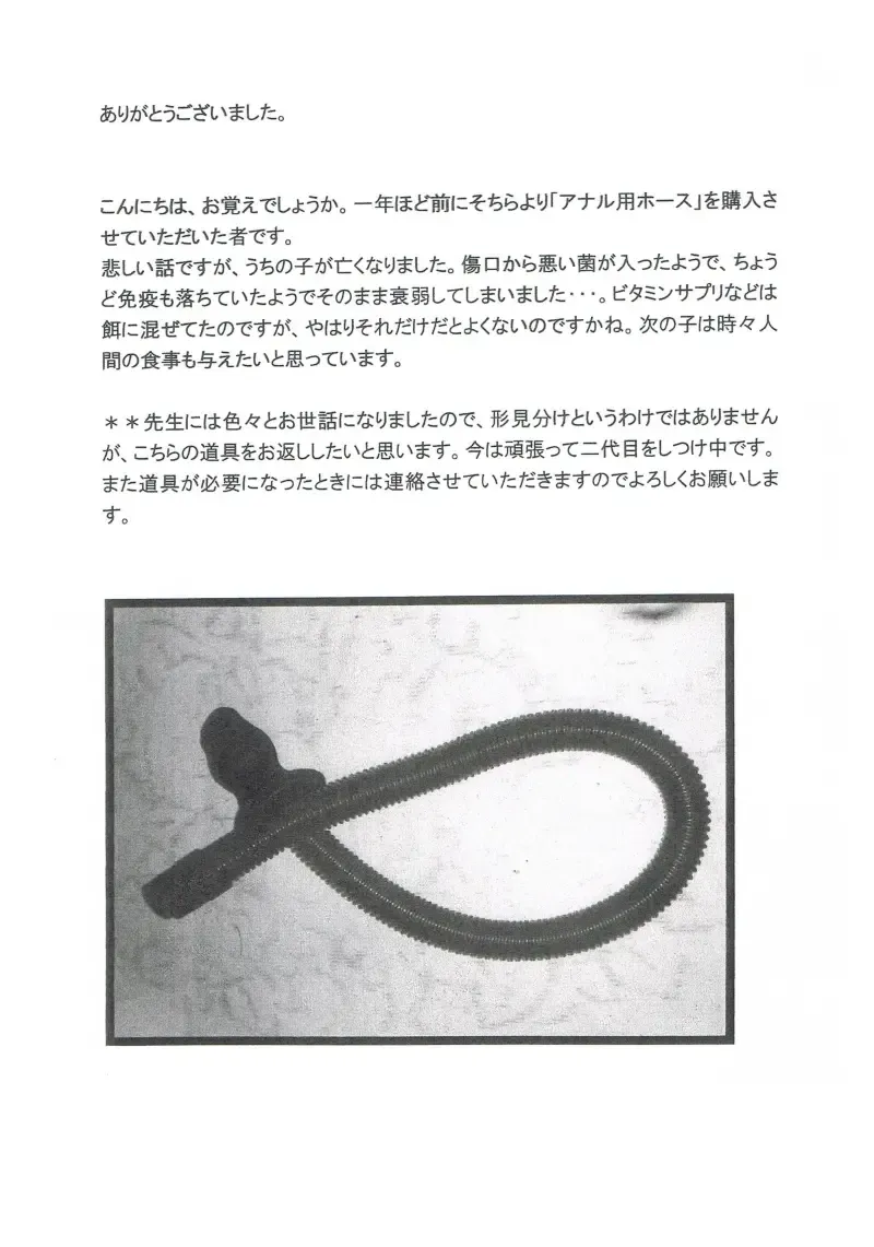 [Toriki Cooya] Shitataru Osui Fhentai - Page 19