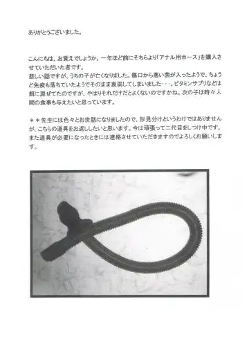 [Toriki Cooya] Shitataru Osui Fhentai - Page 19