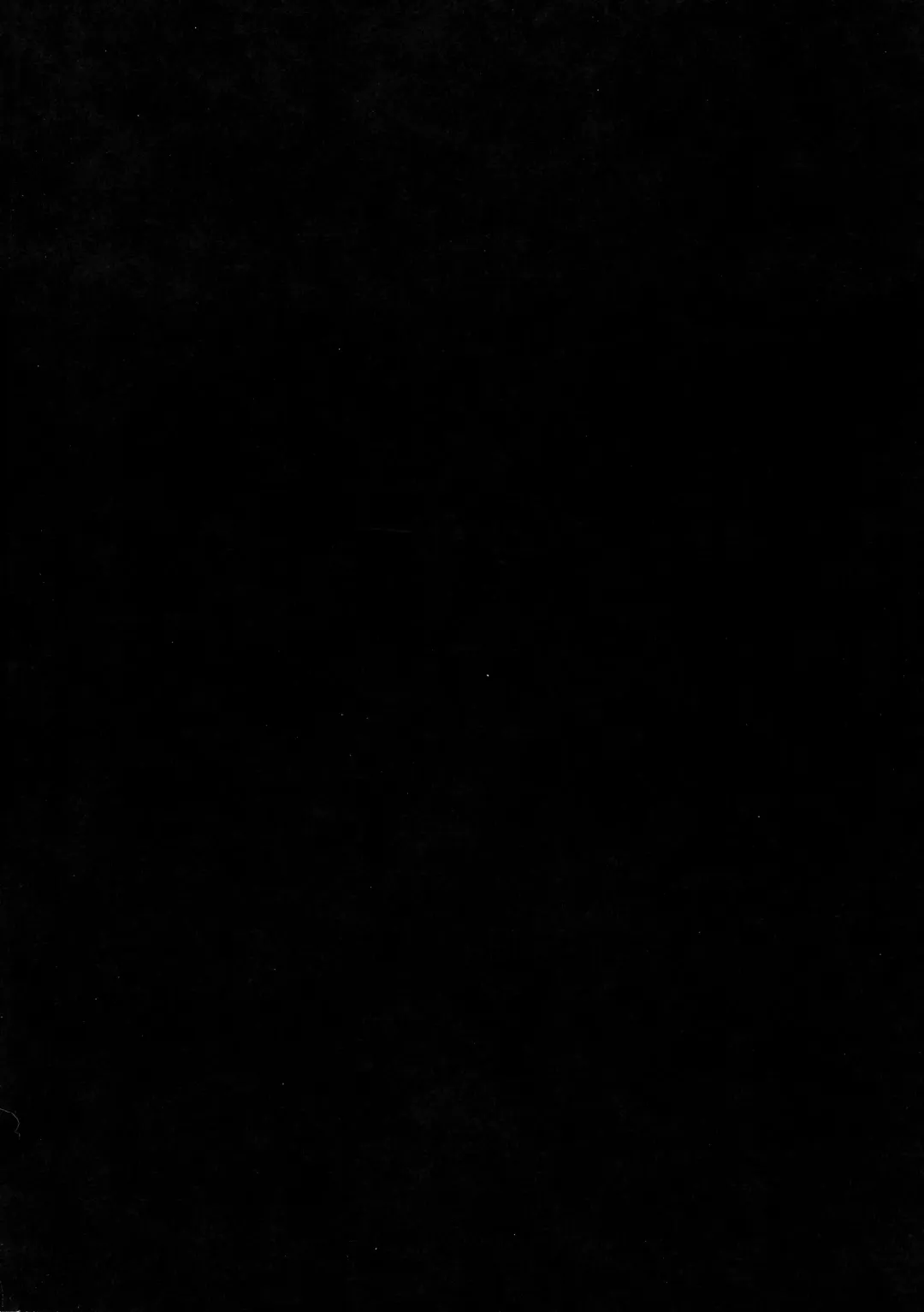 [Puripuri Jet] Pirate Girls Fhentai - Page 32