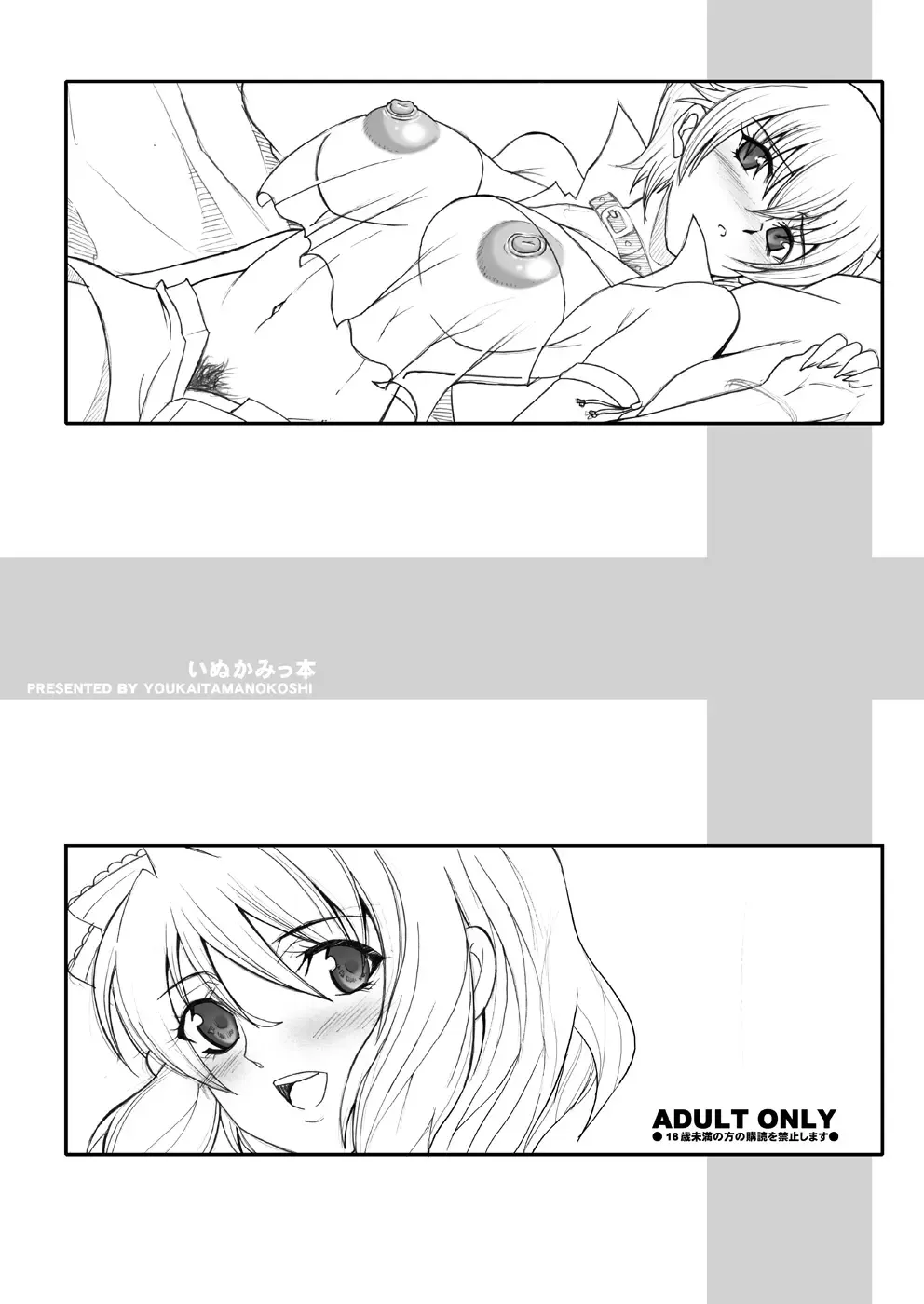 [Chiro] Tamanokoshi Zenbu Tsume 2001 ~ 2022 Venue Limited Edition Fhentai - Page 30