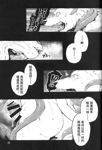 [Kishiguma Toragorou] DUMP Fhentai - Page 33