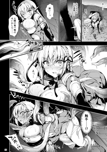 [Ninoko] Elf ni Inmon o Tsukeru Hon LEVEL:1~4 Soushuuhen Fhentai - Page 26