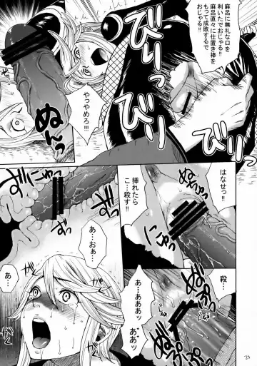 [Todd Oyamada] Basara Hime Fhentai - Page 22