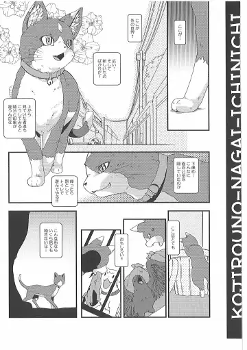 [Inumimi Moeta] Short Story Fhentai - Page 14