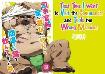 Read [Ross] Shireikan-dono no Ie ni Asobi ni Ittara Machigatta Kusuri o Nonde Shimatta Ken. | That Time I went to Visit the Commander and Took the Wrong Medicine. - Fhentai