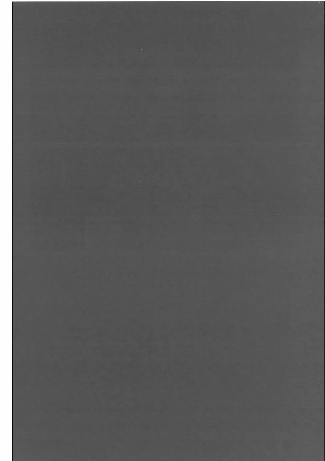 [Mujina] Oshokuji Fhentai - Page 29