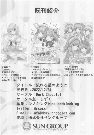 [Sizuku] Nagareru Hoshi no Youni Fhentai - Page 17