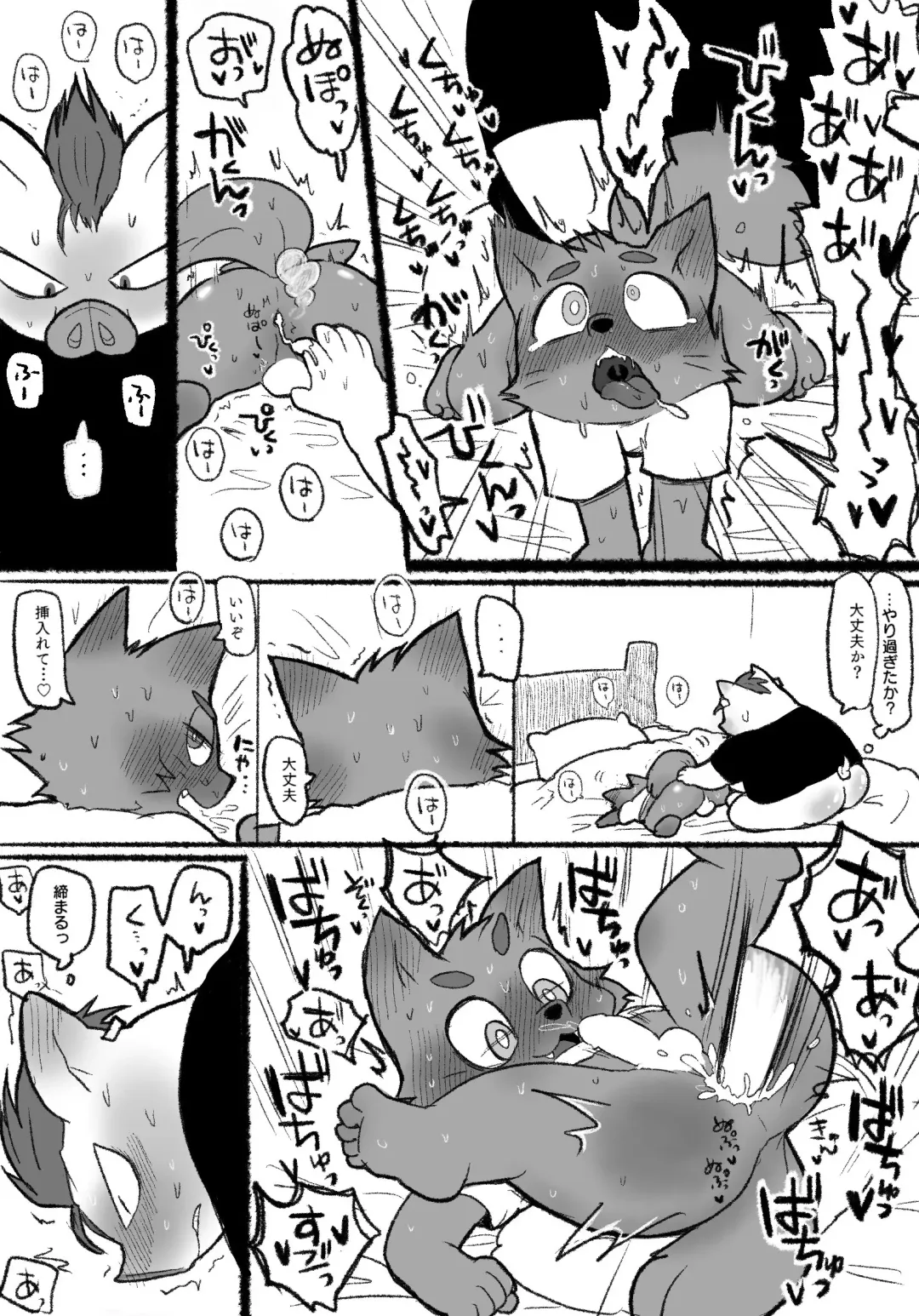 pocopocosaurus - Pig and wolf Fhentai - Page 4