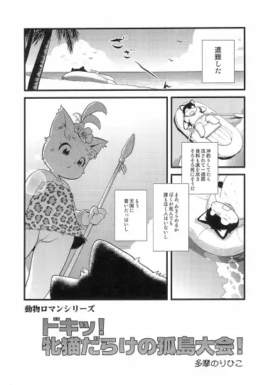 [Yamashita Woory] Kemology SPECIAL Fhentai - Page 41