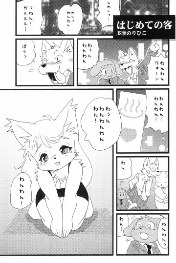 [Yamashita Woory] Kemology SPECIAL Fhentai - Page 9