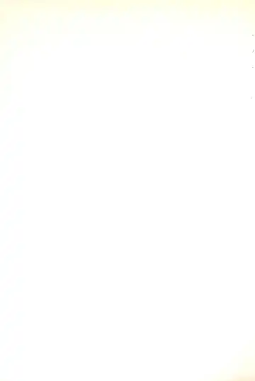 [Akikaze Shirakumo] ANYTHING GOES. Fhentai - Page 87