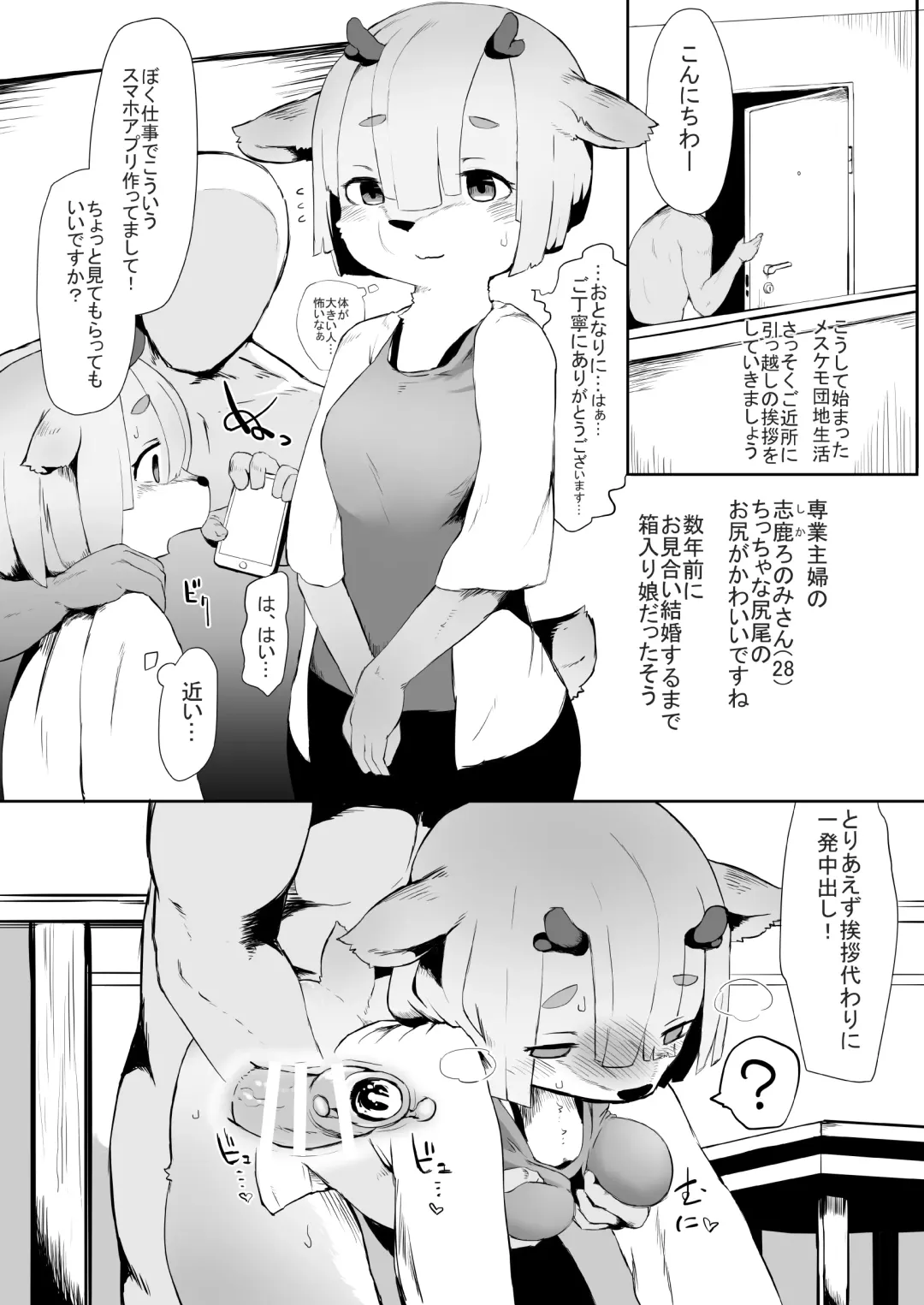 [Tenyati] Mesukemo Danchi Fhentai - Page 12
