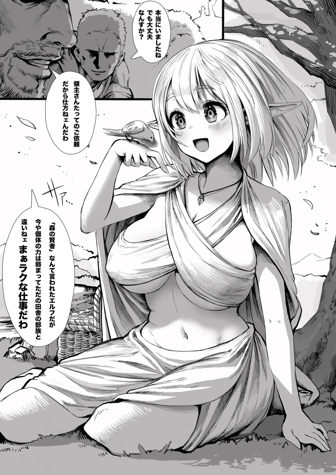 [Gibachan] Boroboro ni Sareru Elf-san Kako Hen Kanketsu-ban Fhentai - Page 5