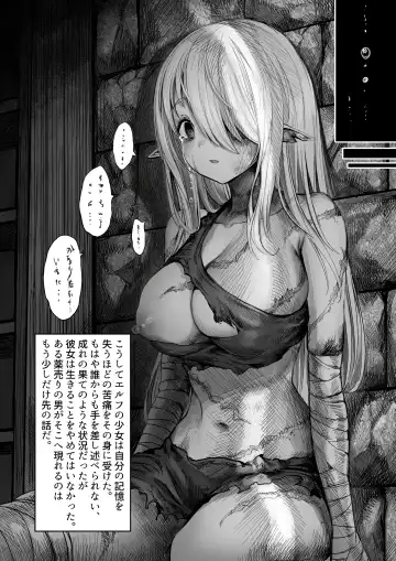 [Gibachan] Boroboro ni Sareru Elf-san Kako Hen Kanketsu-ban Fhentai - Page 45