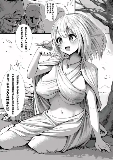 [Gibachan] Boroboro ni Sareru Elf-san Kako Hen Kanketsu-ban Fhentai - Page 5