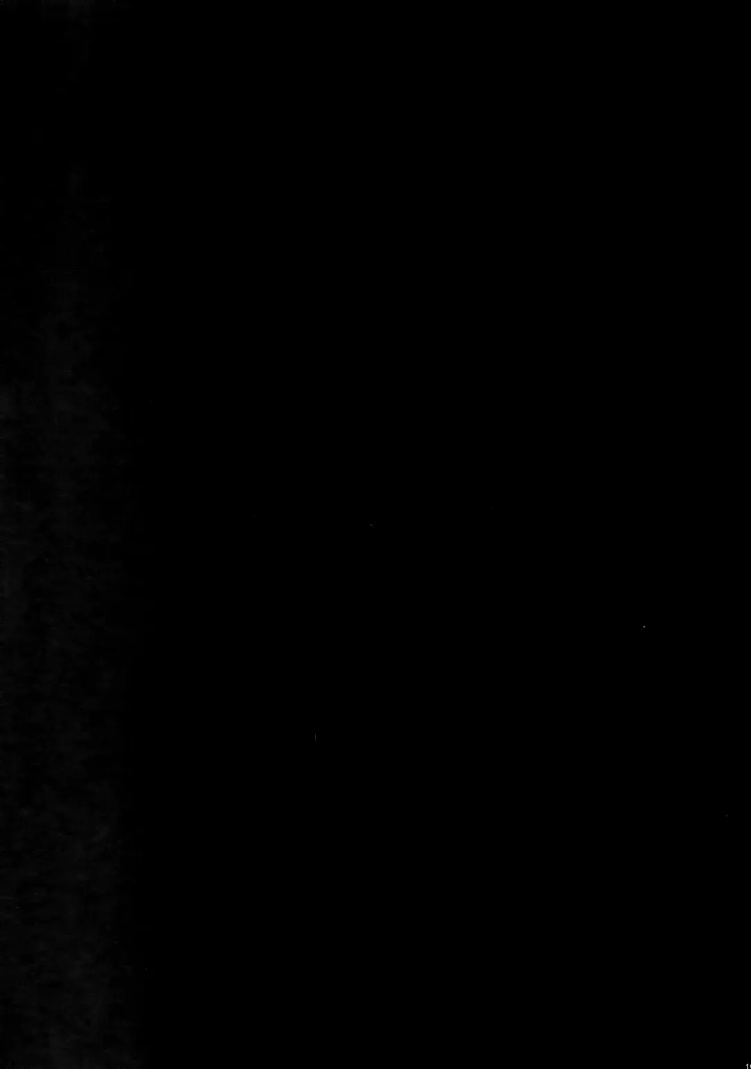 [Nijou Katame] Tokitsukaze to Issho ni. Fhentai - Page 20