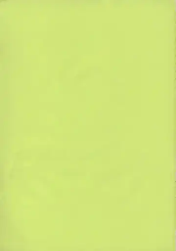 [Kame - Matsuri Miko] E.R.T Fhentai - Page 2