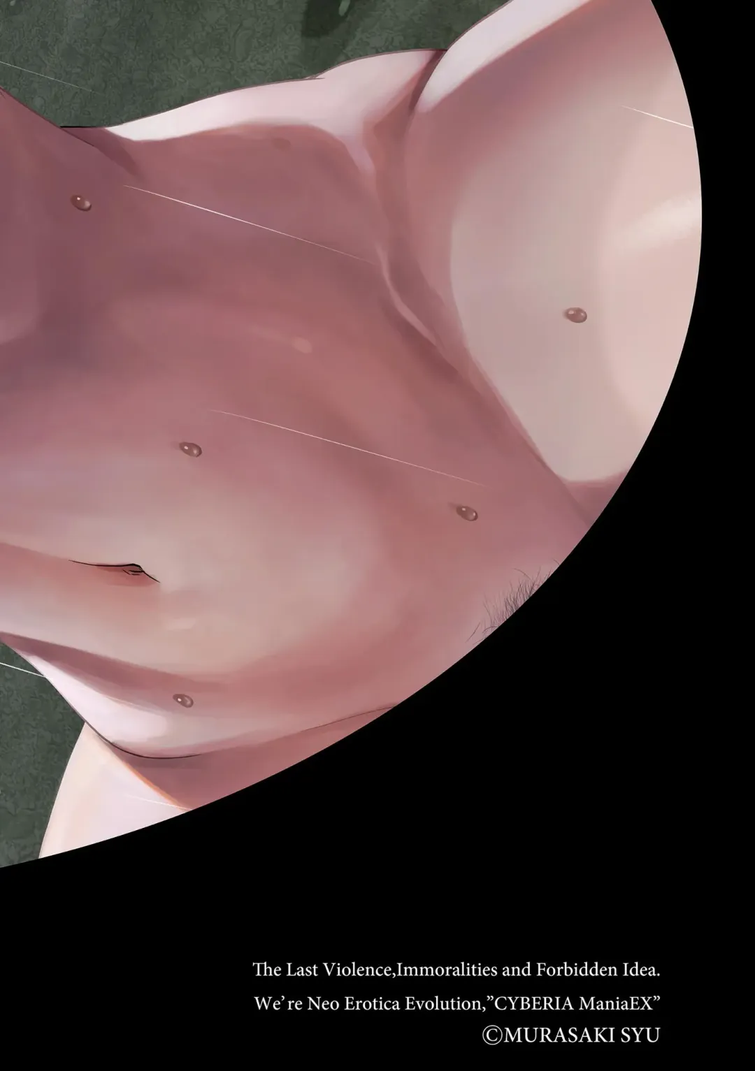 Roshutsu Bishoujo Inraku Ochi Fhentai - Page 2