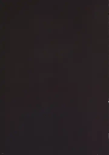 [Orico] Ikusa Otome Complex | Valkyrie Complex Fhentai - Page 21