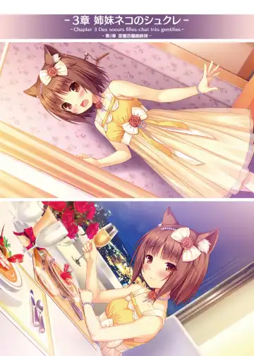 [Sayori] NEKOPARA ART WORKS Vol.2 Fhentai - Page 28