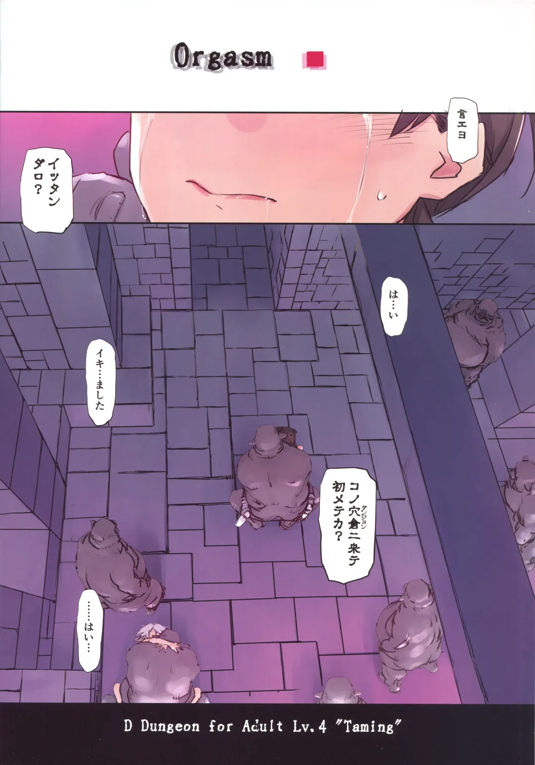 [Tsuina] D Dungeon for Adult Lv.4 Fhentai - Page 3