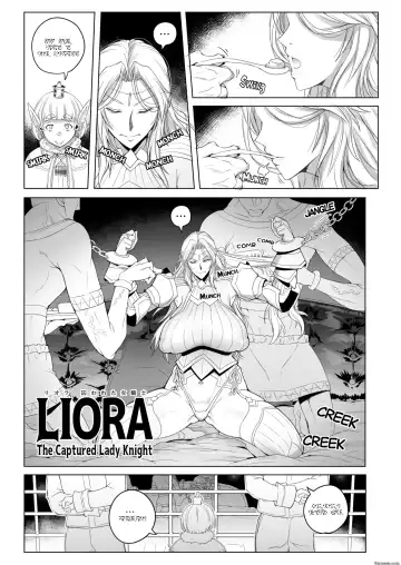 [Asaki Takayuki] ASAKI TAKAYUKI LIORA THE CAPTURED LADY KNIGHT Fhentai - Page 2