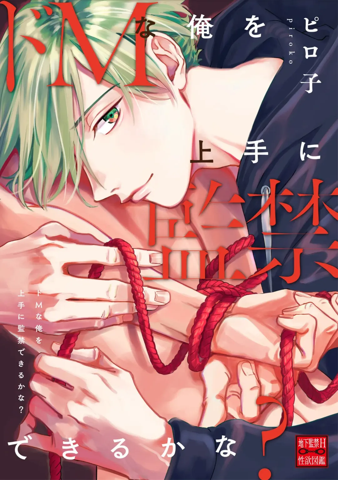 [Piroko] Chika Kankin H Seiyoku Zukan | 地下监禁H性欲图鉴 Fhentai - Page 4