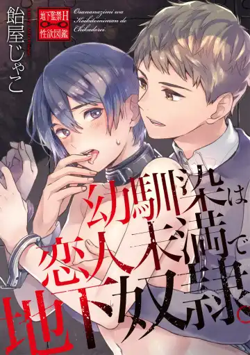 [Piroko] Chika Kankin H Seiyoku Zukan | 地下监禁H性欲图鉴 Fhentai - Page 104