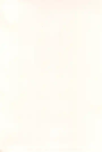 [Molokonomi] Natsu Loli Ism Fhentai - Page 186