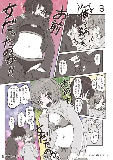 [Inucreamice] 100 day TS challenge Fhentai - Page 3