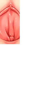 [Haku89 - Nazuna] Stop Strip (decensored) Fhentai - Page 27