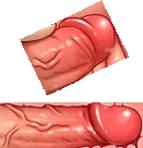 [Haku89 - Nazuna] Stop Strip (decensored) Fhentai - Page 42