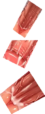 [Haku89 - Nazuna] Stop Strip (decensored) Fhentai - Page 47