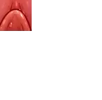 [Haku89 - Nazuna] Stop Strip (decensored) Fhentai - Page 75