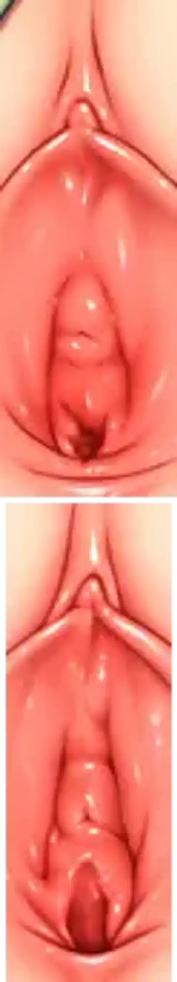 [Haku89 - Nazuna] Stop Strip (decensored) Fhentai - Page 20