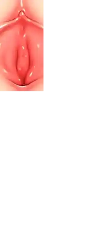 [Haku89 - Nazuna] Stop Strip (decensored) Fhentai - Page 35