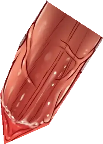 [Haku89 - Nazuna] Stop Strip (decensored) Fhentai - Page 50