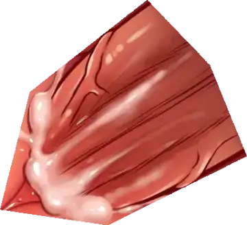 [Haku89 - Nazuna] Stop Strip (decensored) Fhentai - Page 51