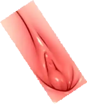 [Haku89 - Nazuna] Stop Strip (decensored) Fhentai - Page 70