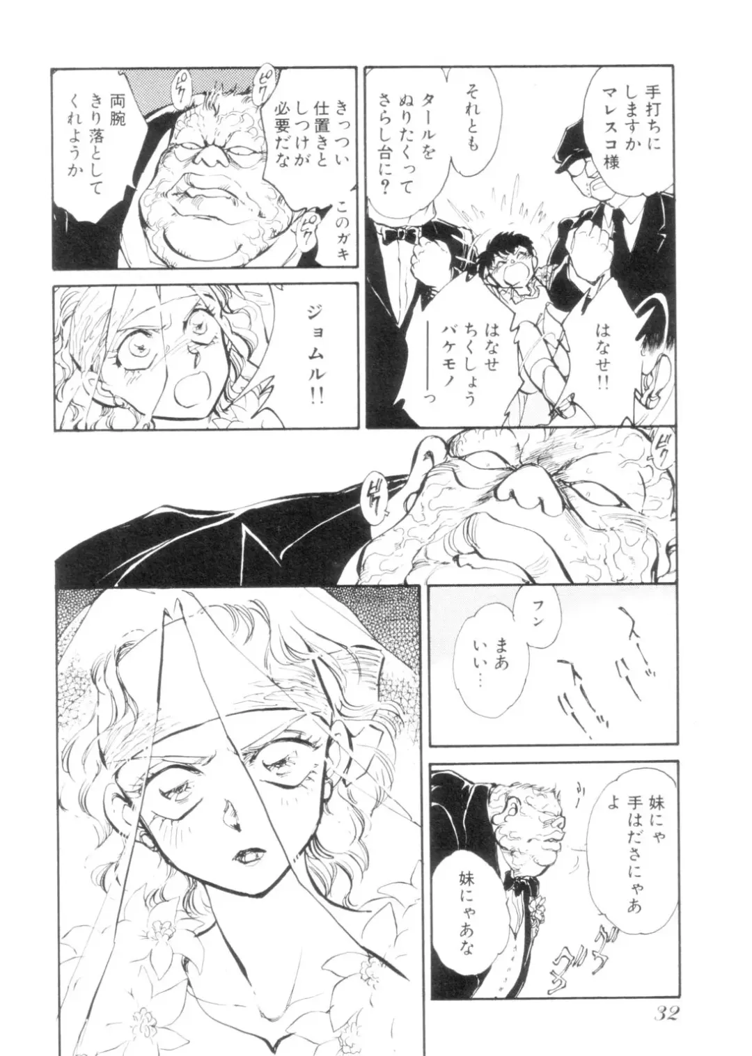 [Shibata Masahiro] Sarai Vol. 4 Fhentai - Page 31