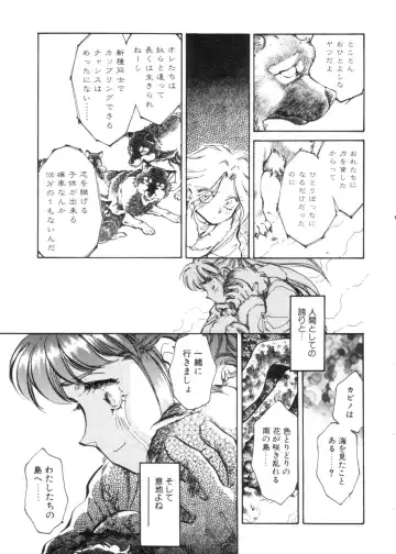 [Shibata Masahiro] Sarai Vol. 4 Fhentai - Page 24