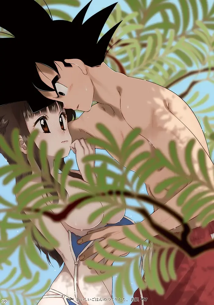 [Yukimitsu] GO!!! CHiCHi Son Goku x Chi Chi Sairokushuu Fhentai - Page 3