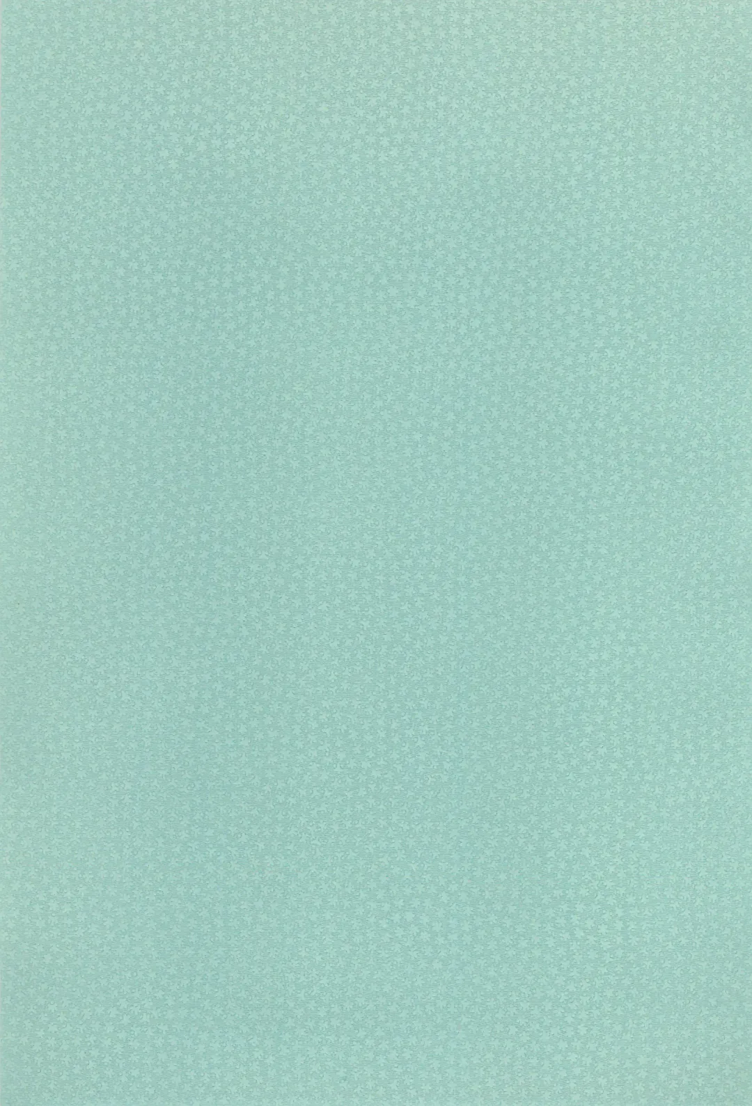 [Sink] Nacchan de Night Fhentai - Page 3