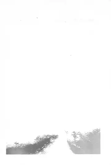 [Miya] Chidori Fhentai - Page 52